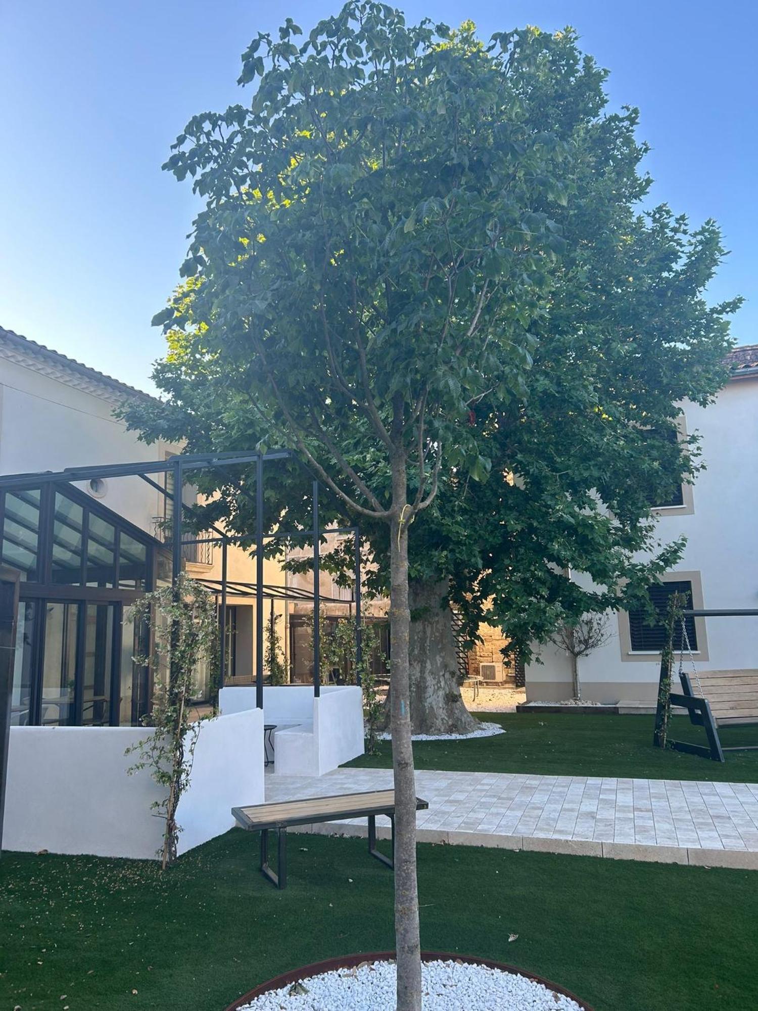 Les Marronniers Bed & Breakfast Lavérune Екстериор снимка